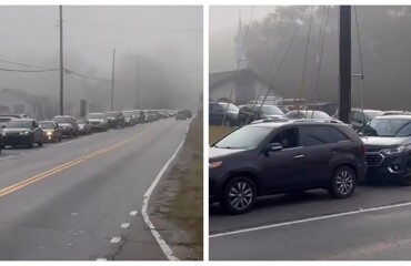 Обнаружена пробка на дороге с самым неожиданным её началом