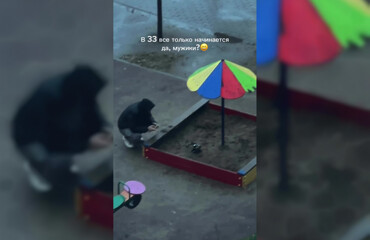 Муж застрял в песочнице с игрушечным экскаватором