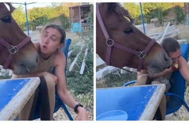 Как девушка и лошадь делили яблоко