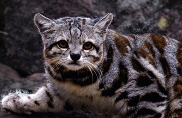 20 природных диковин, от которых перехватывает дыхание