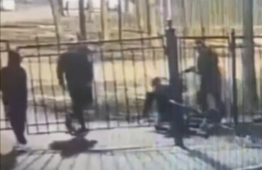 Депутат попросил Генпрокуратуру проверить приговор подросткам-мигрантам за нападение на петербуржца