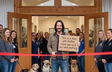 Киану Ривз открыл крупнейший в мире бесплатный приют для кошек и собак