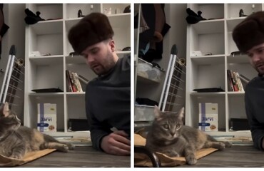 Мужчина в стиле Михаила Круга объяснил своему коту, где находится лоток