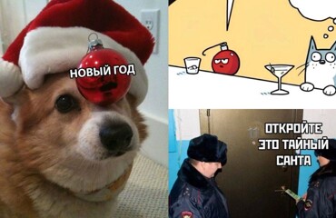 "А следующий год лошади какого всадника?": мемы про Новый год, которые вернут вам праздничный дух