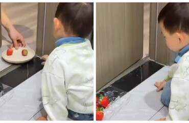 Мама объяснила сыну, как работают инвестиции — с клубникой наглядно