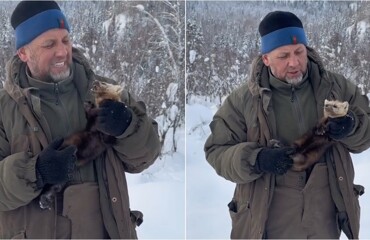 Мужчина поймал молодого соболя на пасеке