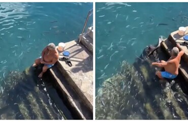 Мужчина подкармливает ската