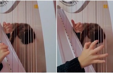 Хит 90-х на арфе