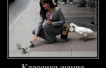 Демотиваторы, которые ударят позитивом