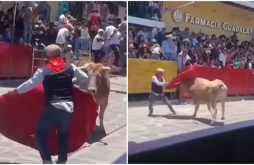 Друг всегда поможет