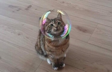 20+ моделей, фотогеничности которых можно только позавидовать