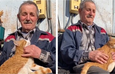 Маленькое тихое счастье