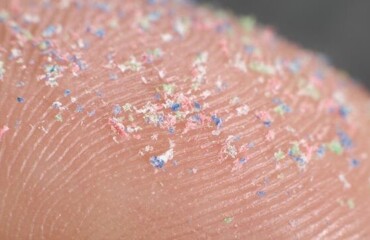 Великая пластиковая афера: как обычные перчатки годами пудрили мозги ученым