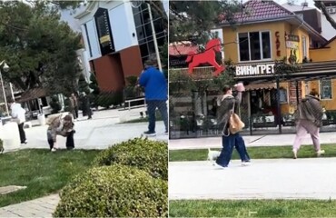 В Краснодарском крае женщина швырнула собачьи фекалии в хозяйку пса