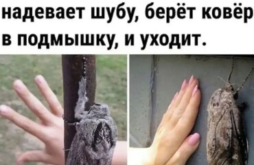 33 прикола