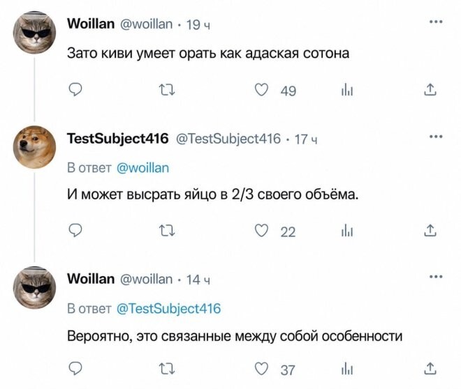 048040c6cf40f6e8da809a3af1fa3019.jpg