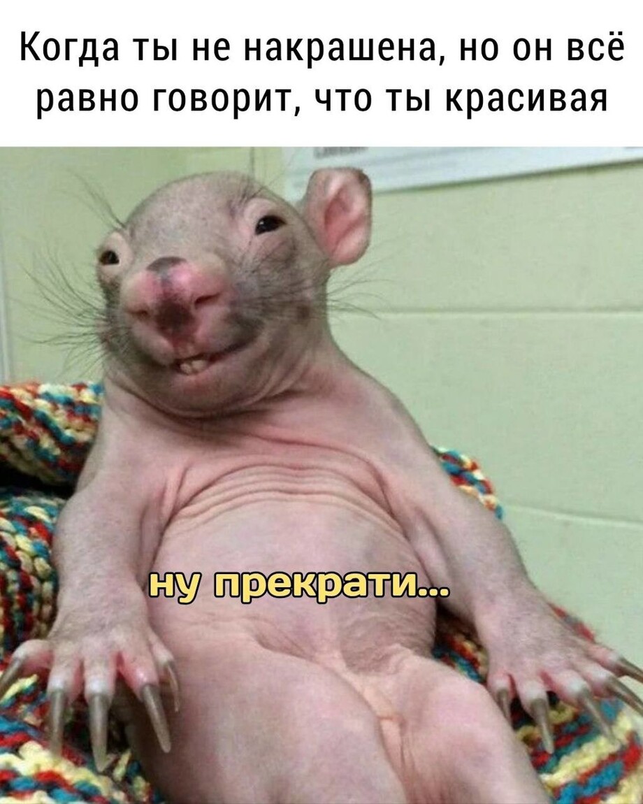4ab62e2219d445c85907f5018fd3f5b2.jpg