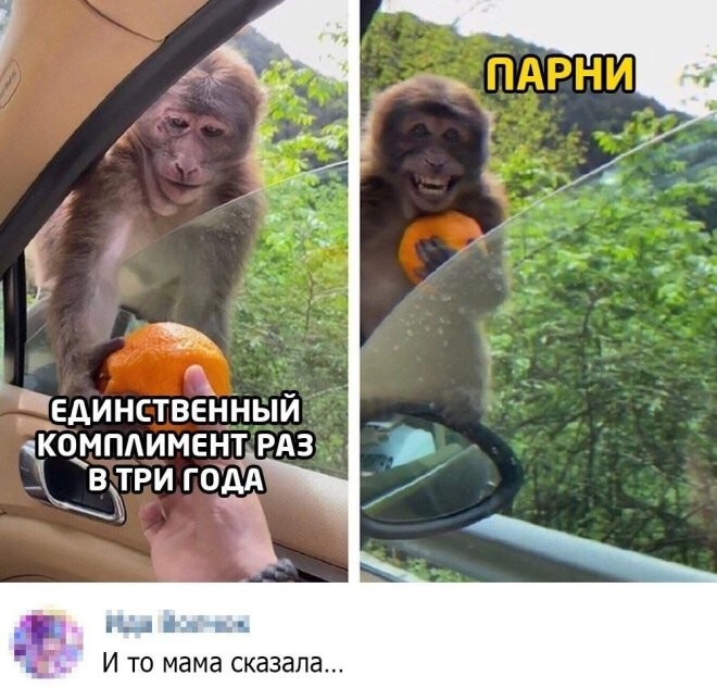 6c4fbd0a7270d76c72bb3d66b9c3488b.jpg