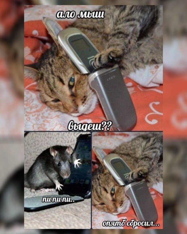 e5a65df9e2178b04a02504126e2d63ef.jpg