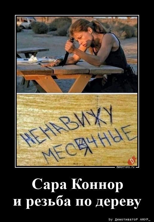54431782526493-sara-konnor-i-rezba--demotions-ru.jpg