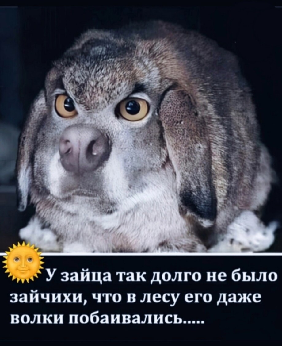 83e4e14d03ef11775ae377e1e27d893a.jpg