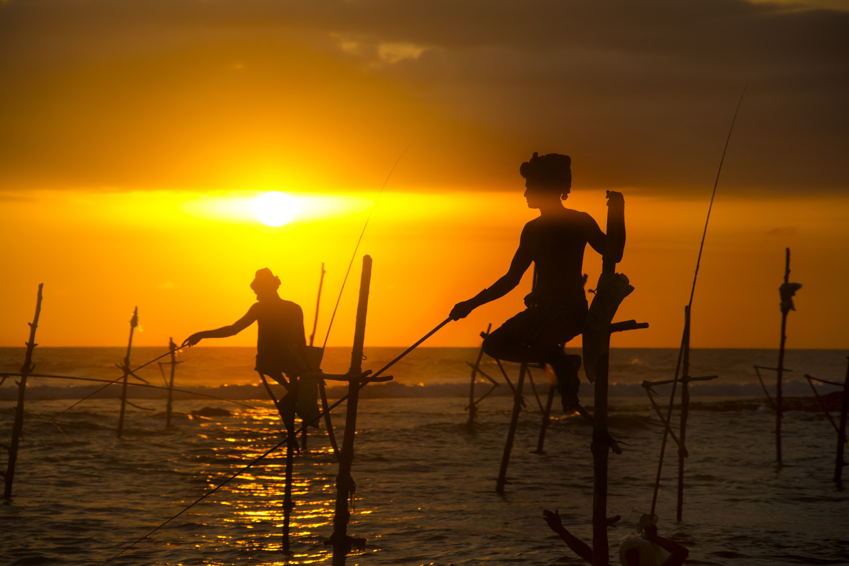 Шри ланка опасности. Рыбаки на сваях Шри Ланка. Рыболовство на Ямайке. Шри Ланка рыбаки на шестах. Шри Ланка рыбалка на шестах.