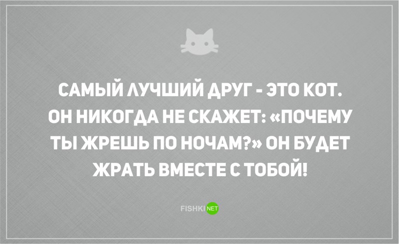 Звук жрешь жру. Кот будет жрать вместе с тобой. Самый лучший друг это кот. Лучший друг это кот он будет жрать вместе с тобой. Эгоистичная меховая скотина.