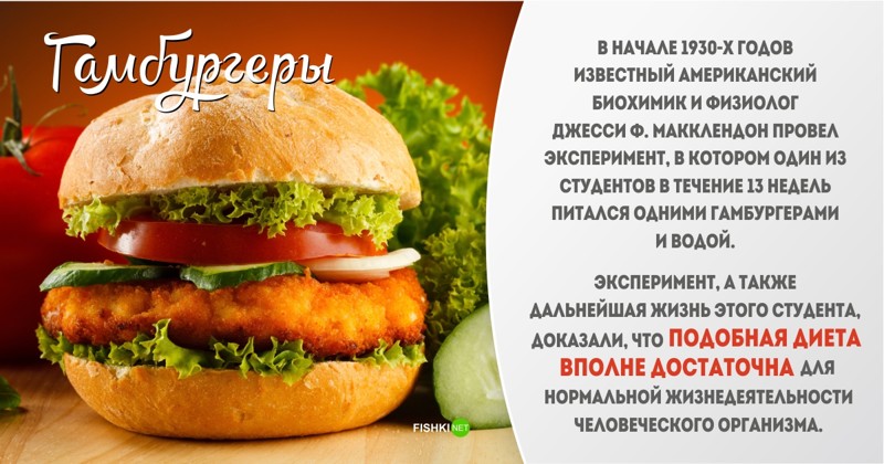 Неделя фаст фуда. Бургеры вредны для здоровья. Полезный фаст фуд. Интересные факты о фастфуде. Вред гамбургеров.