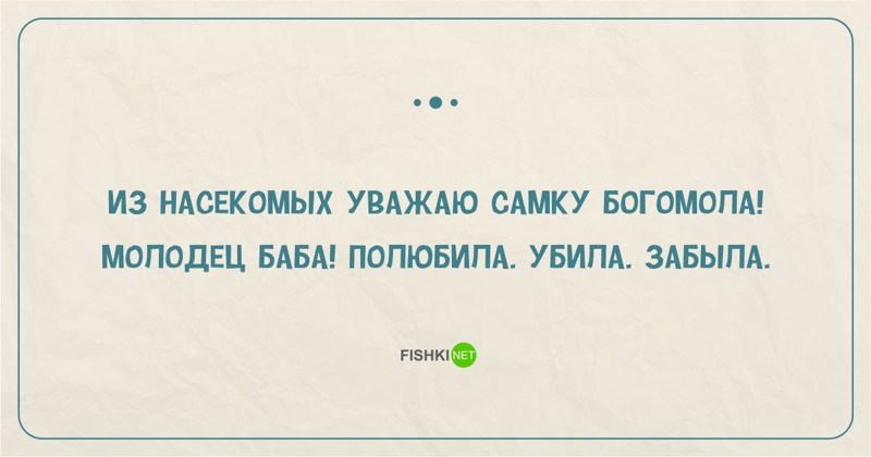 Молодец баба никого не сдала. Уважаю самку богомола полюбила. Уважаю самку богомола молодец. Самка богомола молодец баба.