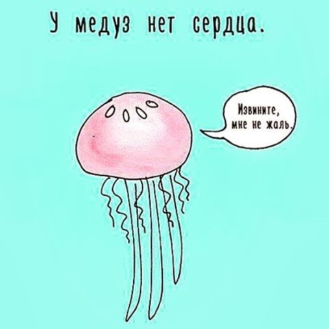 У медузы есть мозги. Медуза прикол. Веселые медузы. У медузы есть мозг. Шутки про медуз.