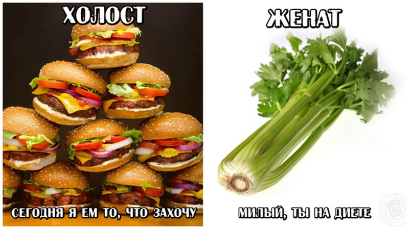 Холостой на всю жизнь. Холост женат. Лучше быть женатым или холостым. Разница между женатым и холостым. Холостой картинка.
