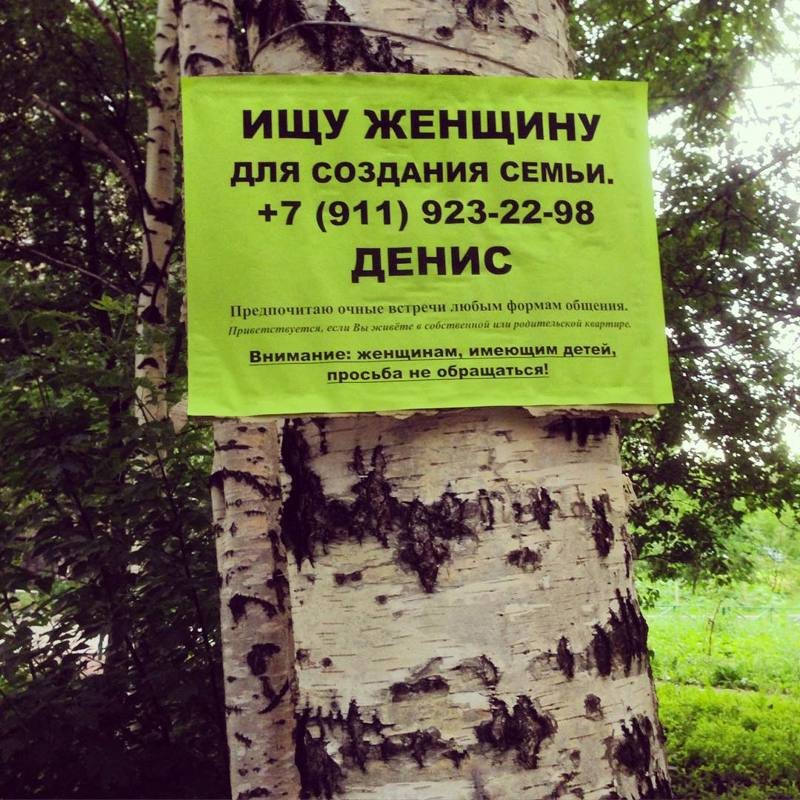 Низко пали. Ищу жену для создания семьи. Ищу девушку для создания семьи прикол. Ищу мужа для создания семьи. Ищу девушку для создания семьи прикольное объявление.